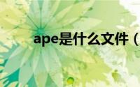 ape是什么文件（APE是什么格式）