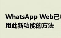 WhatsApp Web已收到分组贴纸：以下是启用此新功能的方法