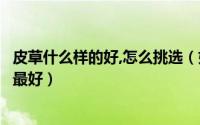 皮草什么样的好,怎么挑选（如何识别皮草种类哪种皮草种类最好）