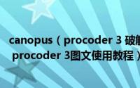 canopus（procoder 3 破解版安装以及使用方法 canopus procoder 3图文使用教程）