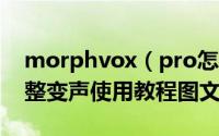 morphvox（pro怎么用 morphvox pro调整变声使用教程图文教程）