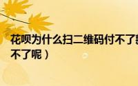 花呗为什么扫二维码付不了款了（为什么扫二维码用花呗付不了呢）