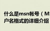 什么是msn帐号（MSN帐号格式以及MSN用户名格式的详细介绍）