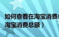 如何查看在淘宝消费总额（淘宝人生怎么查看淘宝消费总额）