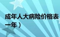 成年人大病险价格表（成年人大病险多少保费一年）