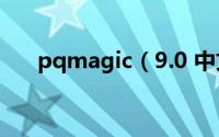 pqmagic（9.0 中文版使用教程图解）