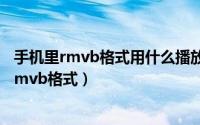 手机里rmvb格式用什么播放器（手机用什么播放器能播放rmvb格式）