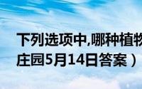 下列选项中,哪种植物也是“吃肉”的（蚂蚁庄园5月14日答案）