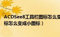 ACDSee8工具栏图标怎么变成小图标（ACDSee8工具栏图标怎么变成小图标）