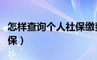 怎样查询个人社保缴费记录（怎样查询个人社保）