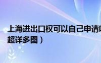 上海进出口权可以自己申请吗（上海进出口权办理攻略 DIY超详多图）