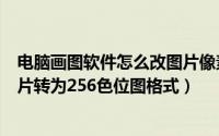 电脑画图软件怎么改图片像素（如何使用电脑画图软件将图片转为256色位图格式）