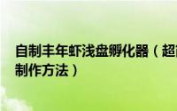 自制丰年虾浅盘孵化器（超简单丰年虾卵浅盘孵化器的DIY制作方法）