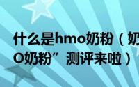 什么是hmo奶粉（奶粉进入HMO时代“HMO奶粉”测评来啦）