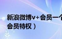 新浪微博v+会员一个月价格是多少（有哪些会员特权）