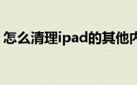 怎么清理ipad的其他内存（怎么清理IE缓存）