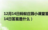 12月14日蚂蚁庄园小课堂答案是什么（蚂蚁庄园小课堂8月14日答案是什么）