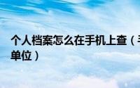 个人档案怎么在手机上查（手机怎么查看个人人事档案存放单位）