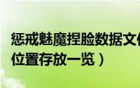 惩戒魅魔捏脸数据文件夹（惩戒魅魔捏脸文件位置存放一览）