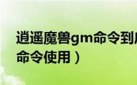 逍遥魔兽gm命令到底怎么用（逍遥魔兽gm命令使用）