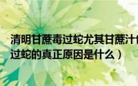 清明甘蔗毒过蛇尤其甘蔗汁也不要喝（民间说法称清明蔗毒过蛇的真正原因是什么）