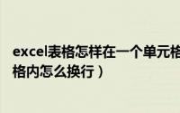 excel表格怎样在一个单元格里换行（excel表格在一个单元格内怎么换行）