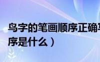 鸟字的笔画顺序正确写法（“鸟”字的笔画顺序是什么）