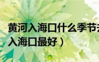 黄河入海口什么季节去最好（什么季节去黄河入海口最好）