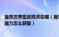 魔兽世界堕夜精灵在哪（魔兽堕夜精灵军需官在哪魔兽远古魔力怎么获取）