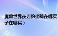 魔兽世界夜刃豹坐骑在哪买（魔兽世界暗夜精灵坐骑各色豹子在哪买）