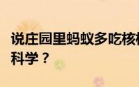 说庄园里蚂蚁多吃核桃能让人变智力是不是不科学？