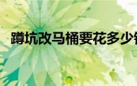 蹲坑改马桶要花多少钱（蹲坑改马桶教程）