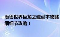 魔兽世界巨龙之魂副本攻略（《魔兽世界》普通巨龙之魂详细细节攻略）