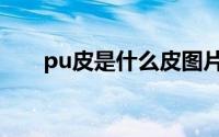 pu皮是什么皮图片（pu皮是什么皮）