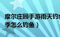 摩尔庄园手游雨天钓鱼攻略（摩尔庄园手游雨季怎么钓鱼）