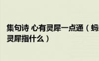 集句诗 心有灵犀一点通（蚂蚁庄园诗句心有灵犀一点通中的灵犀指什么）