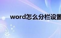 word怎么分栏设置（word怎么分栏）