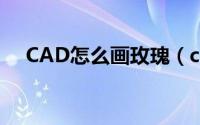 CAD怎么画玫瑰（cad风玫瑰图怎么画）