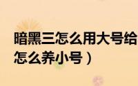 暗黑三怎么用大号给小号攒装备（暗黑3大号怎么养小号）