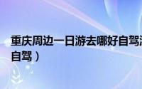 重庆周边一日游去哪好自驾游（重庆周边一日游去哪里好玩自驾）