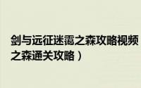 剑与远征迷霭之森攻略视频（剑与远征迷霭之森怎么过迷霭之森通关攻略）