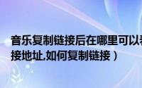 音乐复制链接后在哪里可以看到（怎么查看百度音乐歌曲链接地址,如何复制链接）