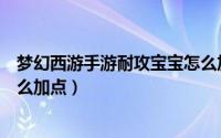 梦幻西游手游耐攻宝宝怎么加点（梦幻西游手游耐法宝宝怎么加点）