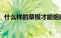 什么样的草根才能组建好的网络推广团队？