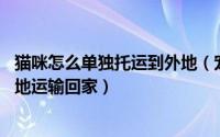 猫咪怎么单独托运到外地（宠物托运的方法 狗狗猫咪怎么异地运输回家）