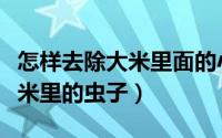 怎样去除大米里面的小黑色虫子（怎样去除大米里的虫子）