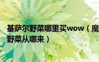 基萨尔野菜哪里买wow（魔兽世界拿[春裘羊驼]用的基萨尔野菜从哪来）