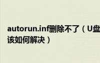 autorun.inf删除不了（U盘中的Autorun.inf文件无法删除该如何解决）