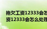 拖欠工资12333会怎么处理收费吗（拖欠工资12333会怎么处理）