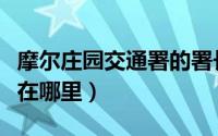 摩尔庄园交通署的署长是谁（摩尔庄园交通署在哪里）